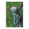 Hochet coloquinte