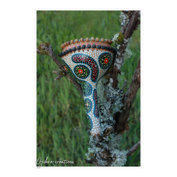 Hochet coloquinte