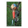 Hochet coloquinte