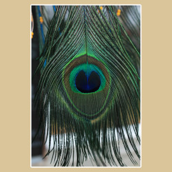 Attrape-Rêves